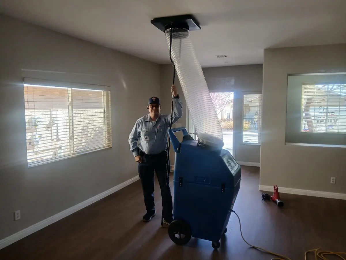 Professional Dryer Vent Cleaning work inside a Hastings home